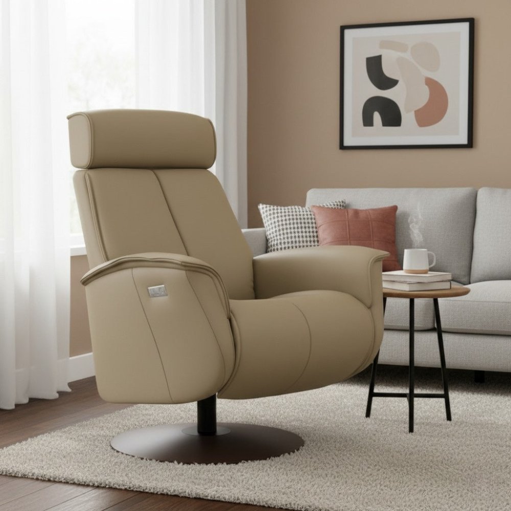 Moran Furniture Bo Fjord Power Recliner
