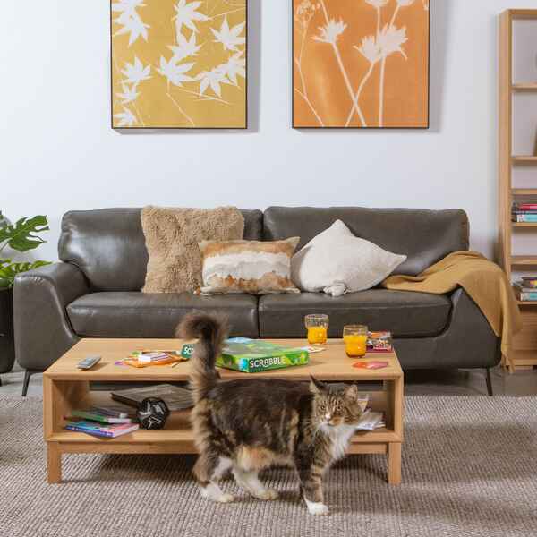 Lazy Boy Sofas and Lounges