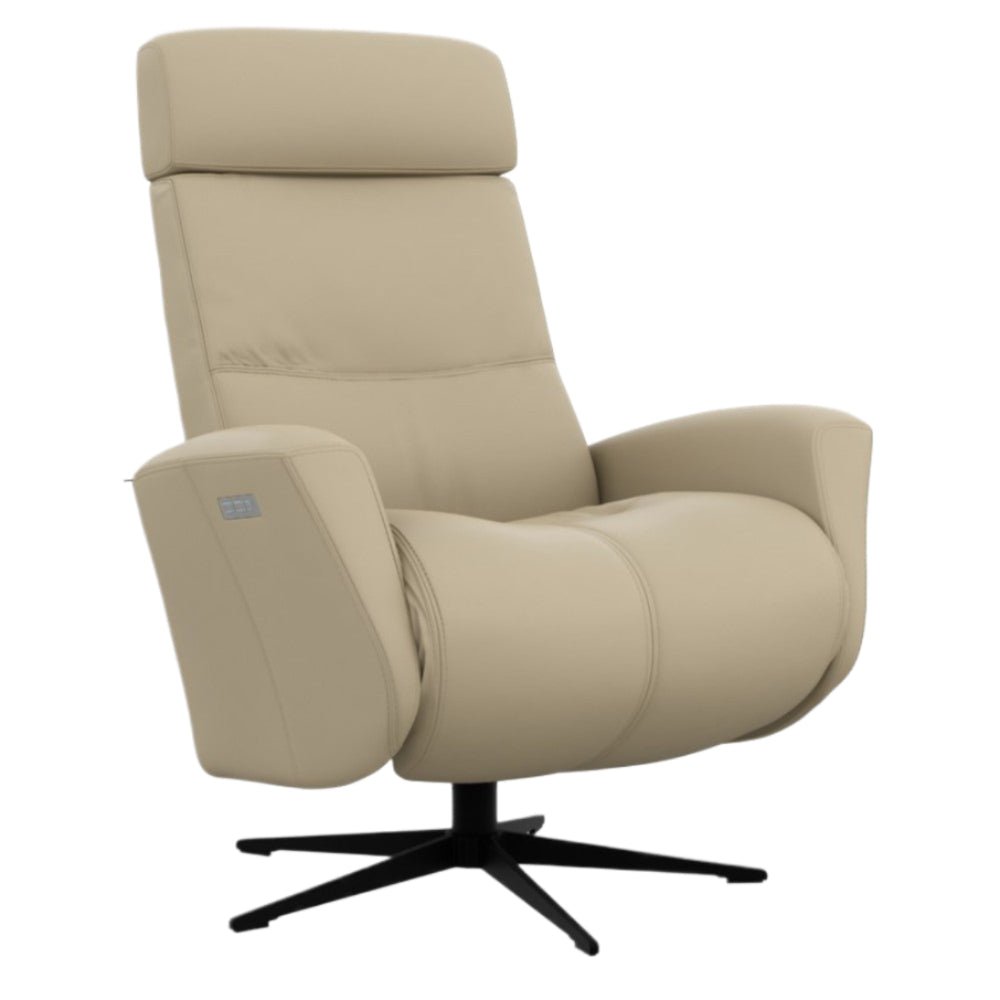 Moran Furniture Magnus Fjord Power Recliner