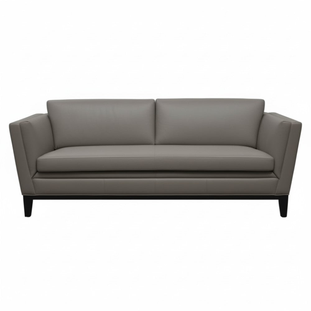 Moran Furniture Renoir Sofa