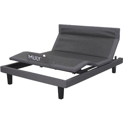 MLILY iActive 30M 3 Motor + Massage Electric Split King Bed 3 Motor + Massage No Mattress