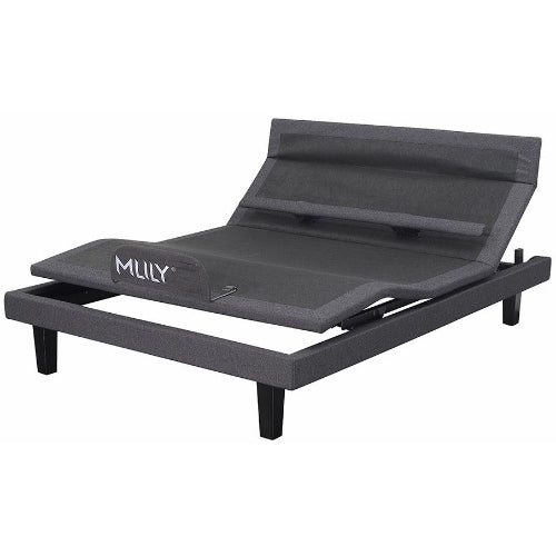 MLILY iActive 40M 4 Motor + Massage Electric Long Single Bed 4 Motor + Massage No Mattress