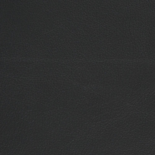 Moran Furniture Fjord Leather Coverings