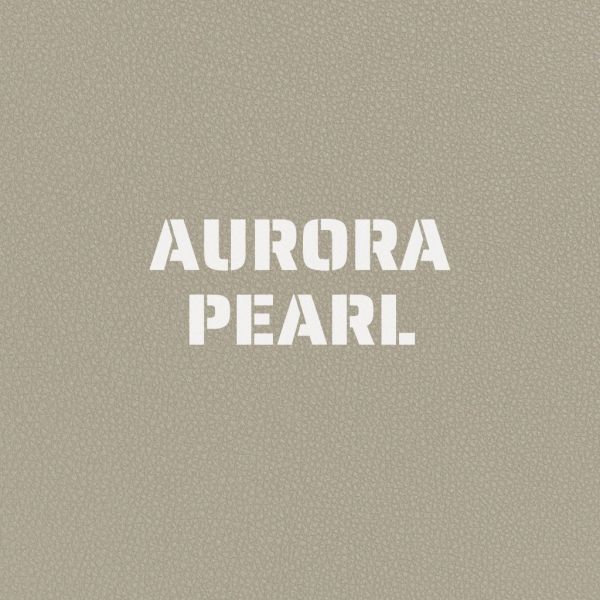 Charcoal Book Premium Leather Coverings