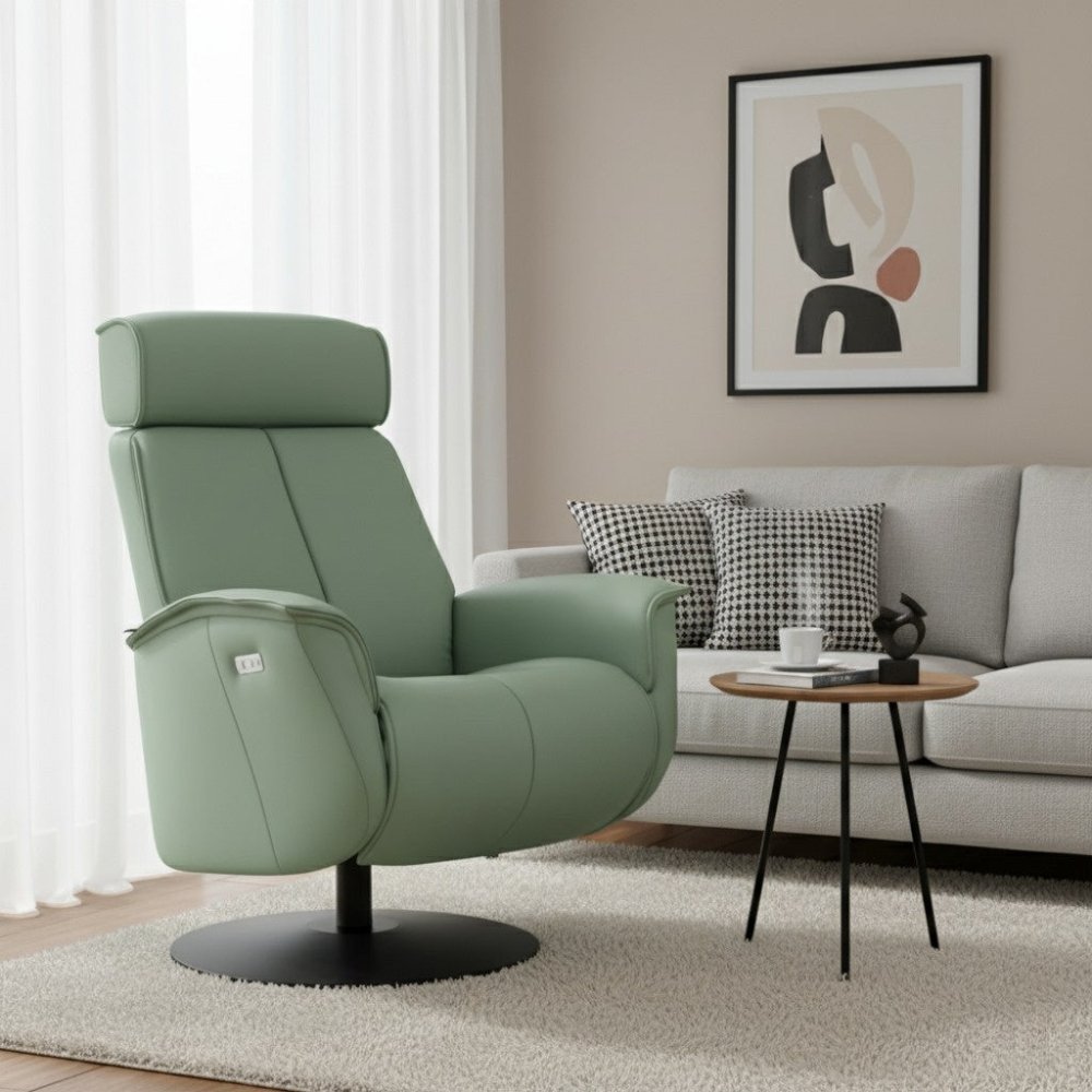 Moran Furniture Bo Fjord Power Recliner
