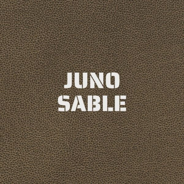 Green Book Premium Leather Coverings