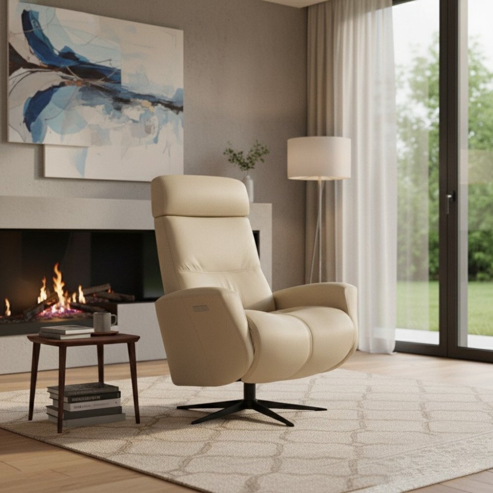 Moran Furniture Magnus Fjord Power Recliner