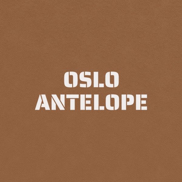 Green Book Premium Leather Coverings