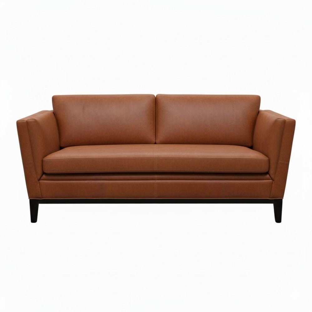 Moran Furniture Renoir Sofa