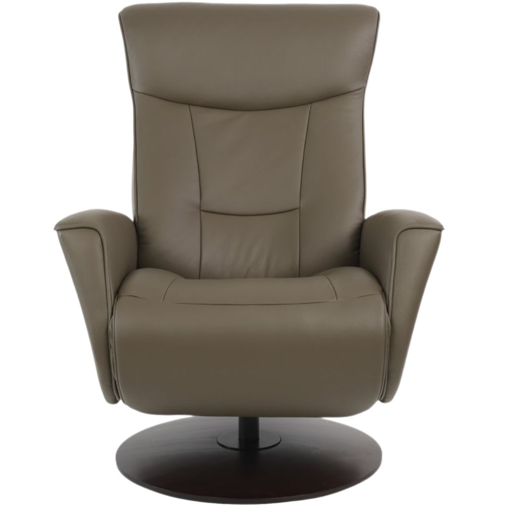 Moran Furniture Oskar Fjord Power Recliner