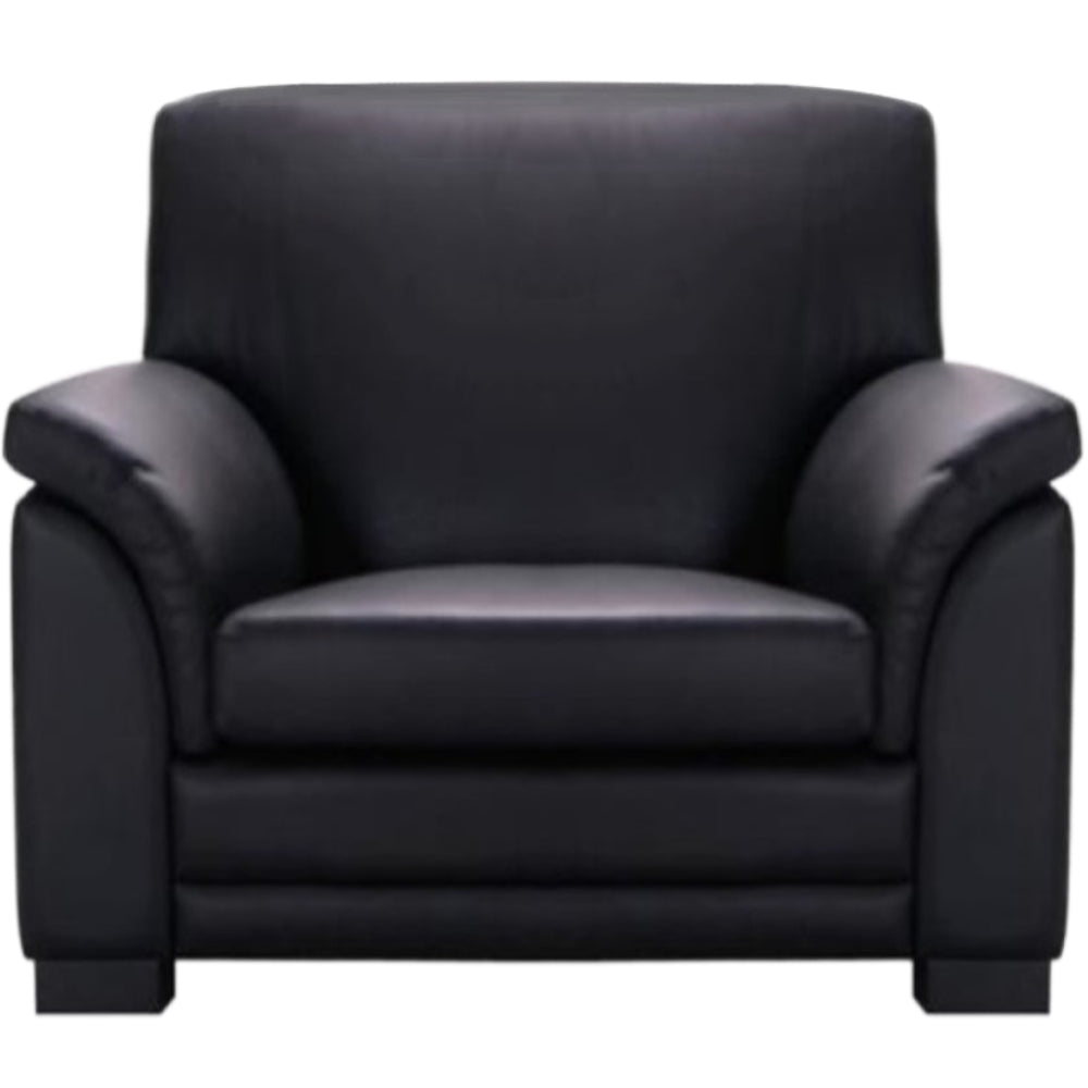 Moran Furniture Burgess Sofa Fabric from