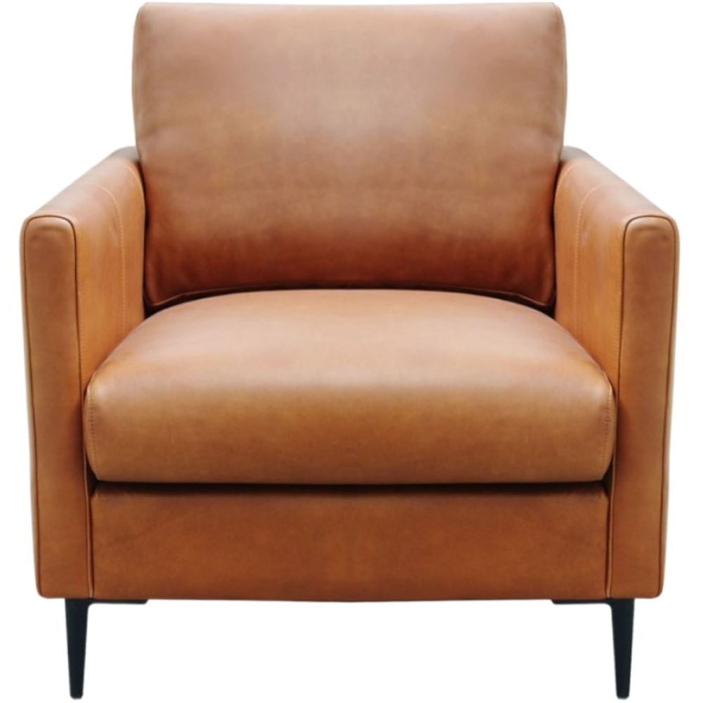 Moran Furniture Olsen Sofa Fabric from